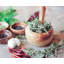 Wood Mortar And Pestle Set