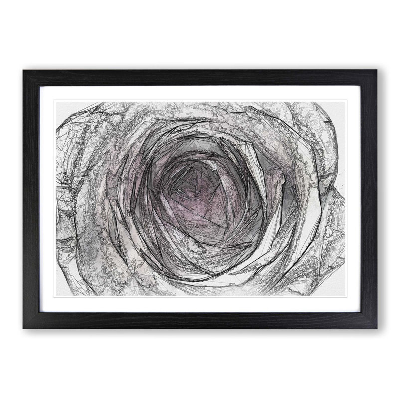 A Pale Pink Rose in Abstract - Picture Frame Graphic Art Print, 48cm H x 65cm W x 2cm D, Black Framed