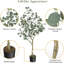 Plant-1212598287
