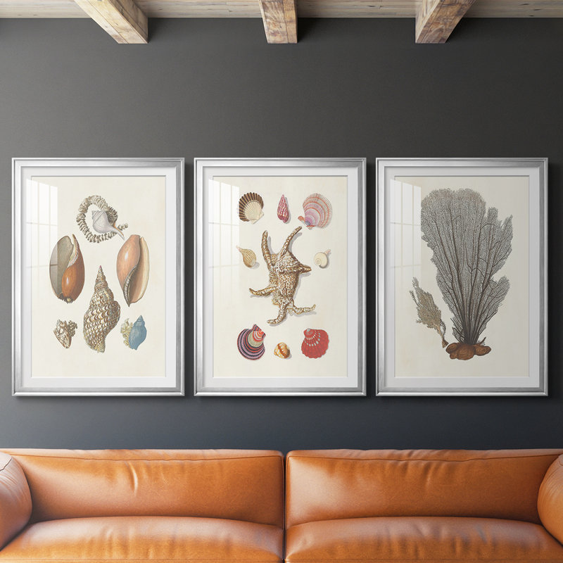 Knorr Shells & Coral I - Impression personnalisée de qualité supérieure avec cadre - 3 pièces, H 27 po x l 39 po