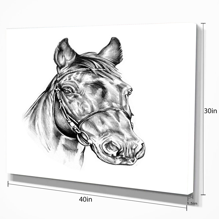 Horse Head Drawing Vector Illustration Hand Stock Vector (Royalty Free)  2161350667 | Shutterstock