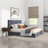 Genka Mid Century Modern Velvet Upholstered Platform Bed-87424999-101185470