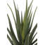 31.5" Artificial Agave Plant
