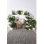 Lauge Hand Woven Wool Beige/Grey Indoor Rug-21407422