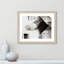 Impression sur toile encadrée-64072657-64072658