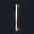 Polished Brass