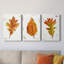 Autumn Leaf Study II - Ensemble de 3 peintures sur toile tendue-1178369220