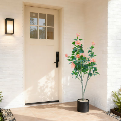 120cm Plant