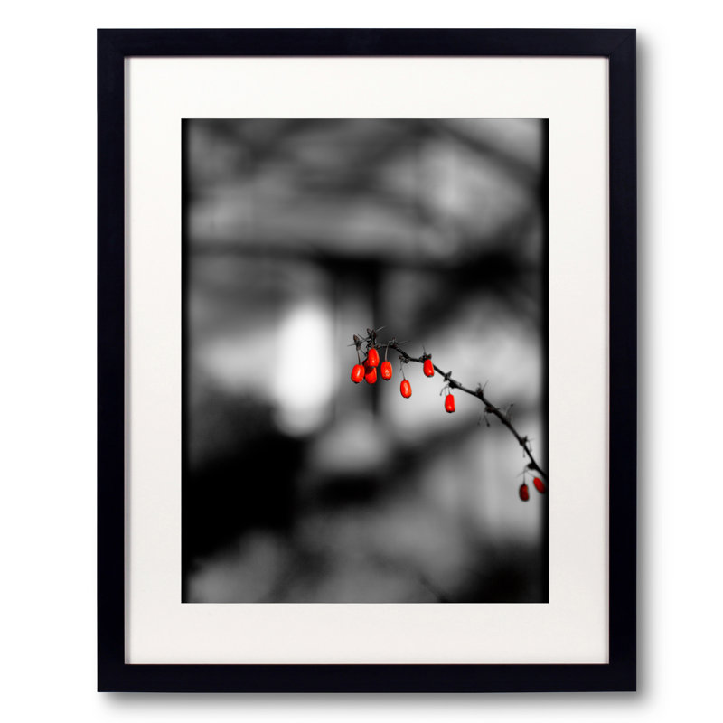 The Red Berries Print by Alan Scherer