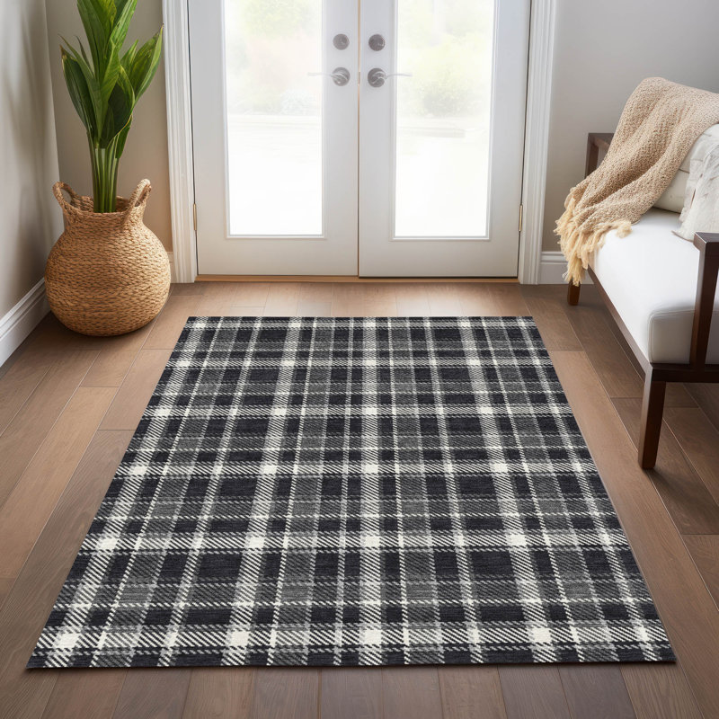 Plaid Indoor / Outdoor Rug, Rectangle 2'6" x 3'10"