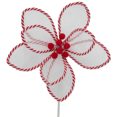 Choix de motif saisonnier Northlight