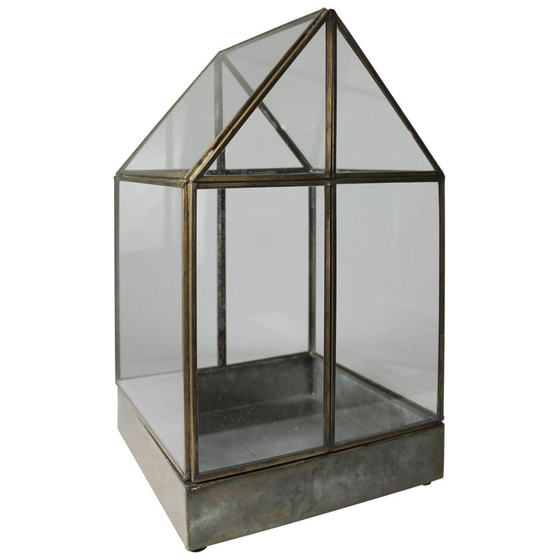 Terrarium en verre Keyjuan, H 4,5 po x l 8 po x P 8 po