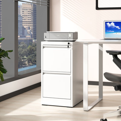 2 Drawer Metal Vertical File Cabinet With Lock, Tilt, Spacious For Office Storage