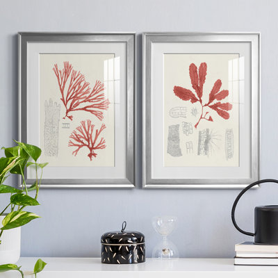 " Vintage Coral Study I " 2 - Pieces