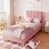 Pink Teddy