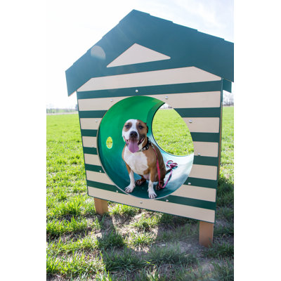 Bark Park Recycled Crawl Tunnel W/Dog House