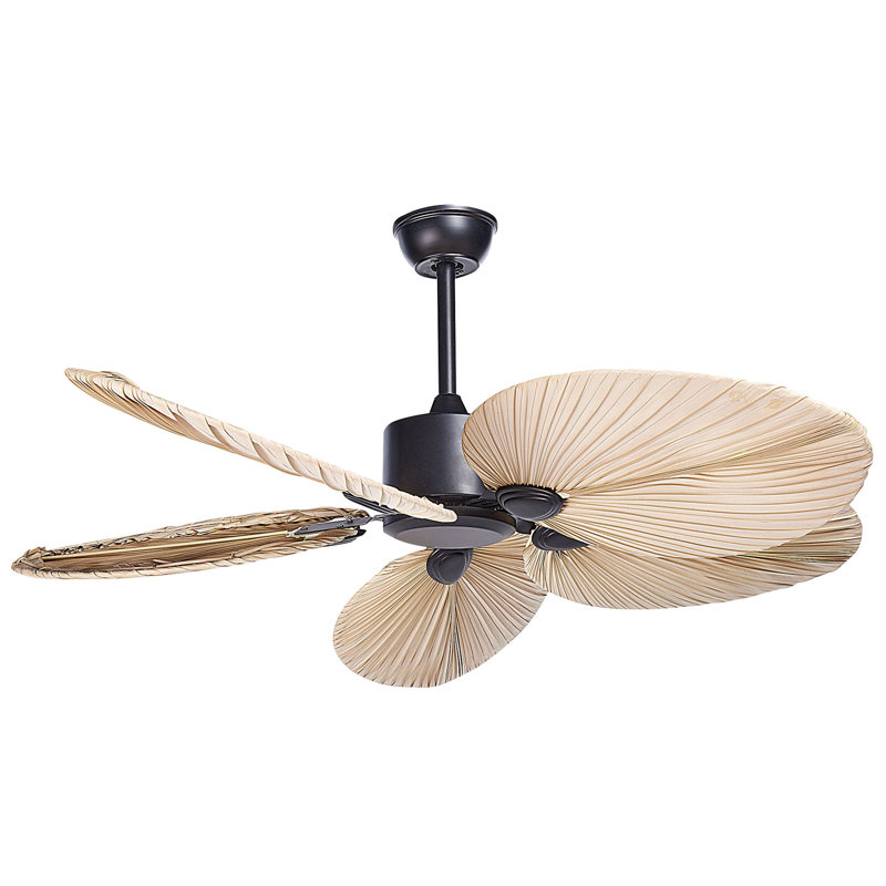 Aschwin 123cm Ceiling Fan with Light Kit