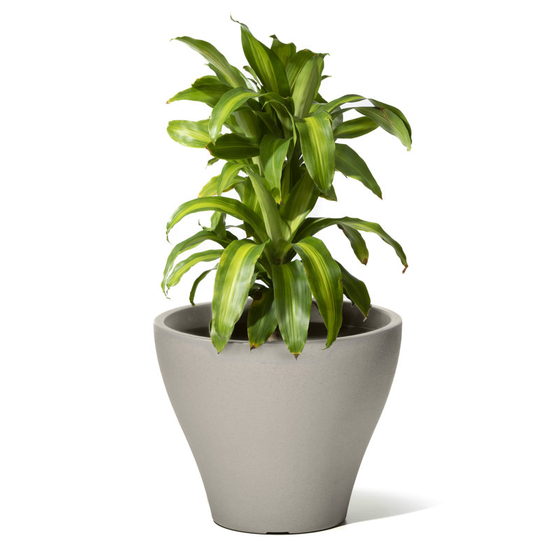 Pot Planter, Beige