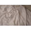 Organico Percale Fitted Sheet-2113994011