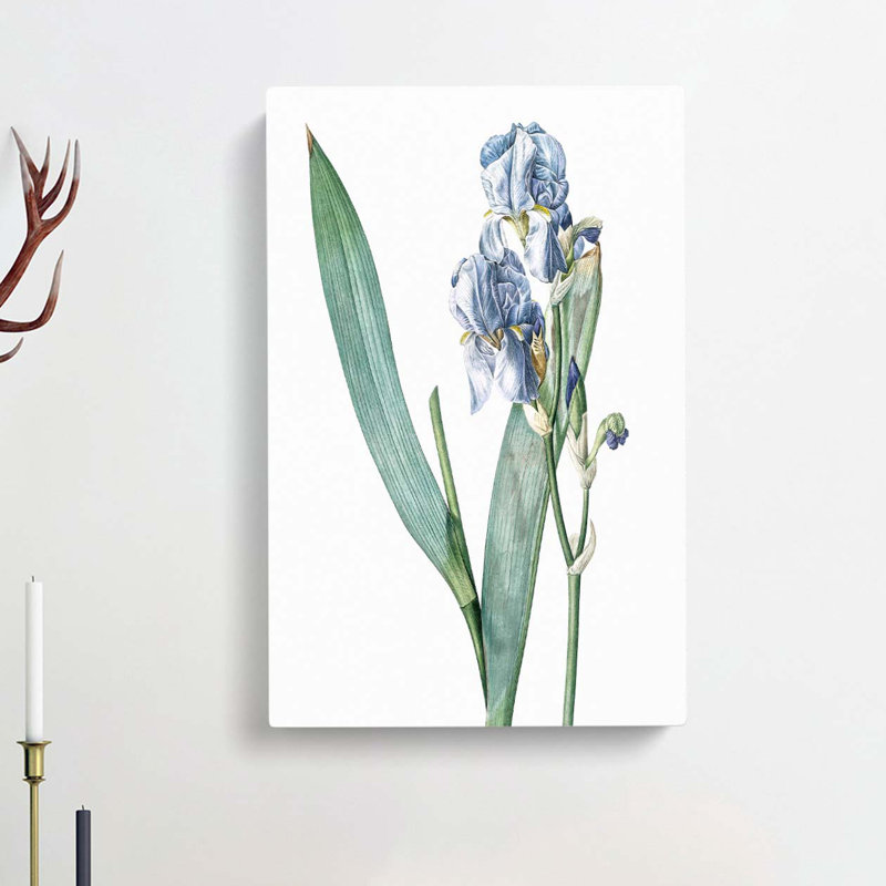 Dalmatian Iris Flower by Utagawa Kunisada - Wrapped Canvas, 60cm H x 40cm W x 3cm D