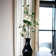 Arrangement cornouiller
