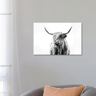 Portrait d'une vache des Highlands, impression sur verre acrylique