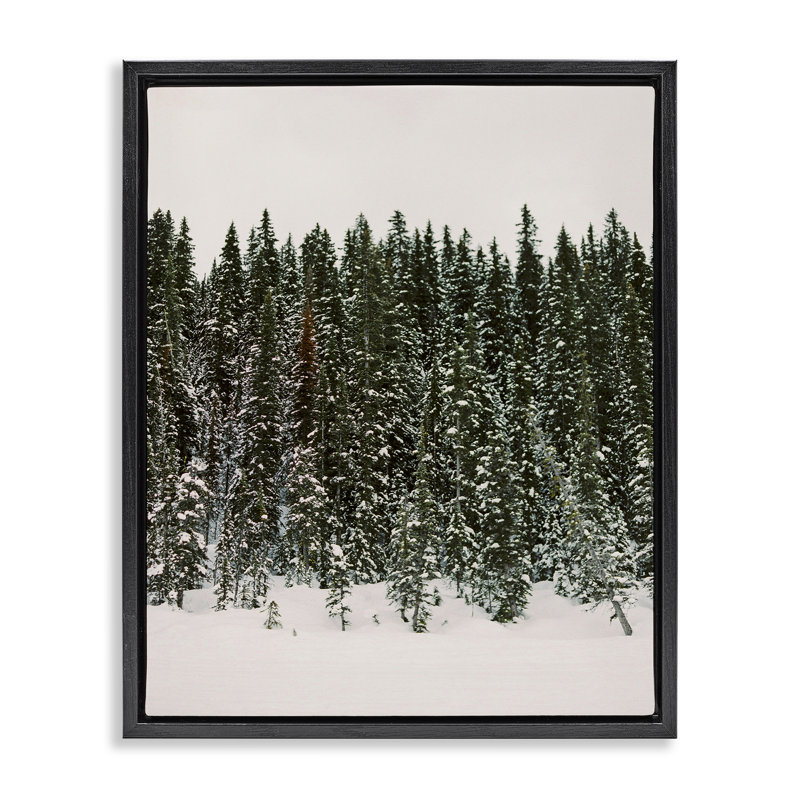 «Winter Forest Grove», art mural encadré par Justine Milton, Cadre flottant noir de jais, H 21 po x l 17 po