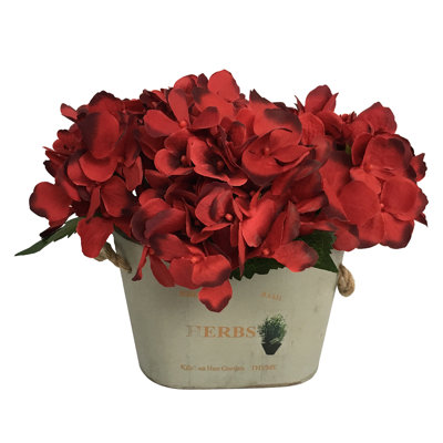 Hydrangea Arrangement in Pot