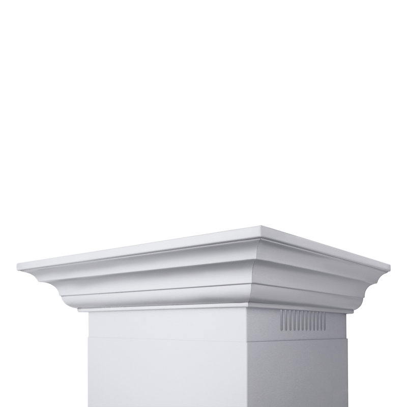 48" Professional Ducted Wall Mount Range Hood in Stainless Steel