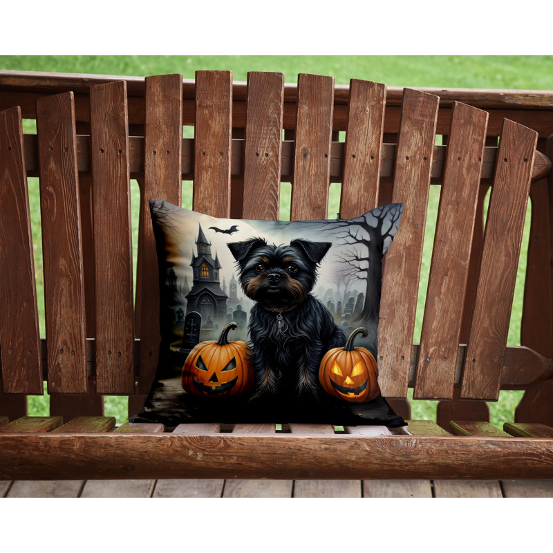 Other/No Pattern Outdoor Throw Pillow, 14" x 14"