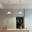 Luminaire suspendu artistique en verre double avec cadre en métal poli
