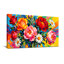 Plantes et fleurs Fleurs colorées sur fond vibrant