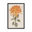 «Vibrant Mums I», impression sur toile tendue-29052570-72792916-72792917