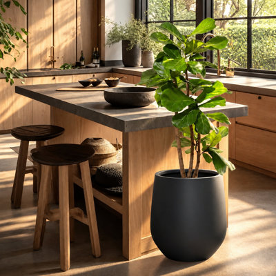 Dorlis Fiberstone Pot Planter
