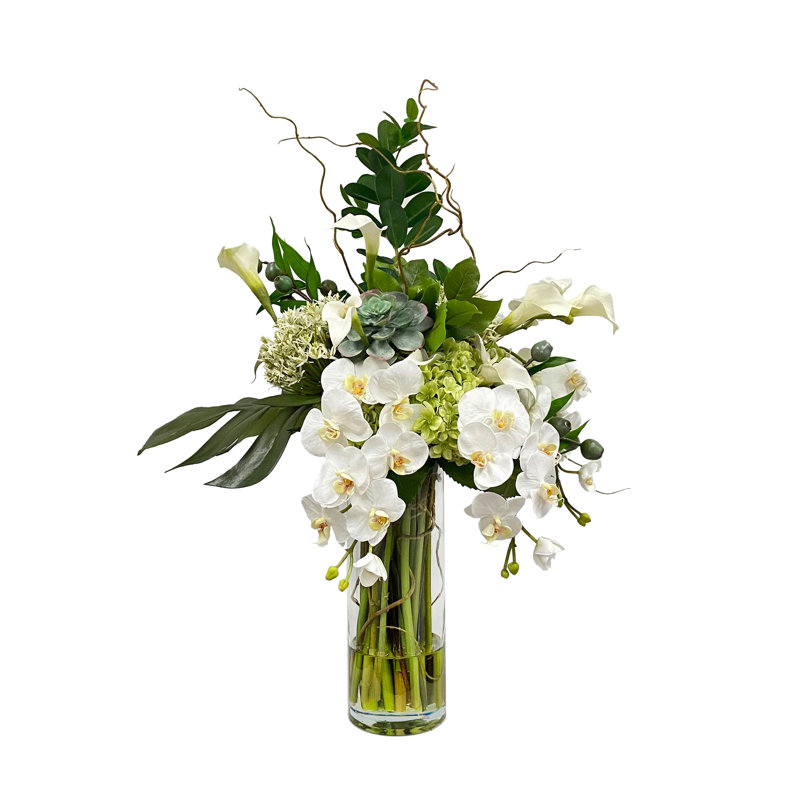 SPLIT PHILO ORCHID IN VASE