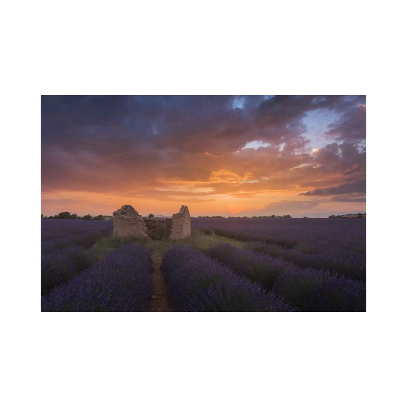 Lavender Fields Of Provence II by Daniel Kordan - Wrapped Canvas Painting, 20.32 cm H x 30.48 cm W