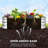 Set of 2 Galvanized Raised Garden Bed