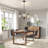 3-Light Modern Globe Glass Chandeliers