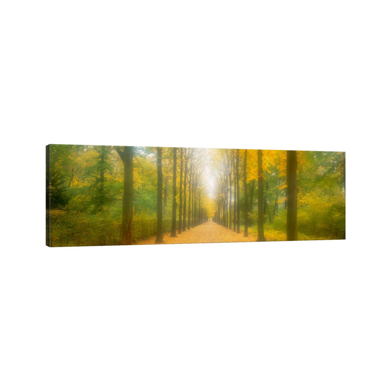 Path Schwetzingen Germany by Panoramic Images - Wrapped Canvas Panoramic Print, 121.92 cm H x 40.64 cm W x 1.91 cm D