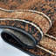 Stanback Area Rug-1732328224