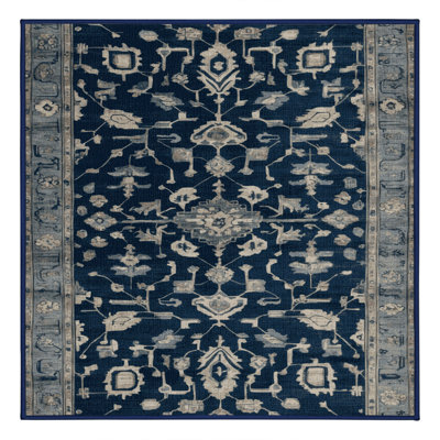 Tapis bleu lavé à la machine