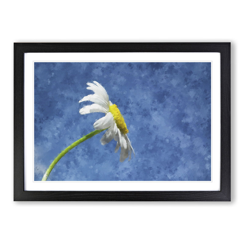 White Daisy Flower Painting - Picture Frame Graphic Art, Black, 48cm H x 65cm W x 2cm D