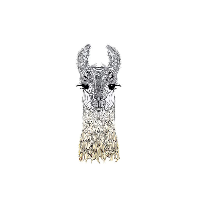 Lama Cria by Monika Strigel - Wrapped Canvas Print, 20.32 cm H x 30.48 cm W