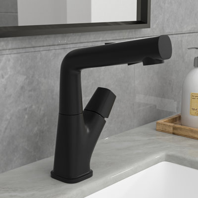 Robinet de salle de bain monocorps en acier inoxydable avec douchette extractible Mocoloo