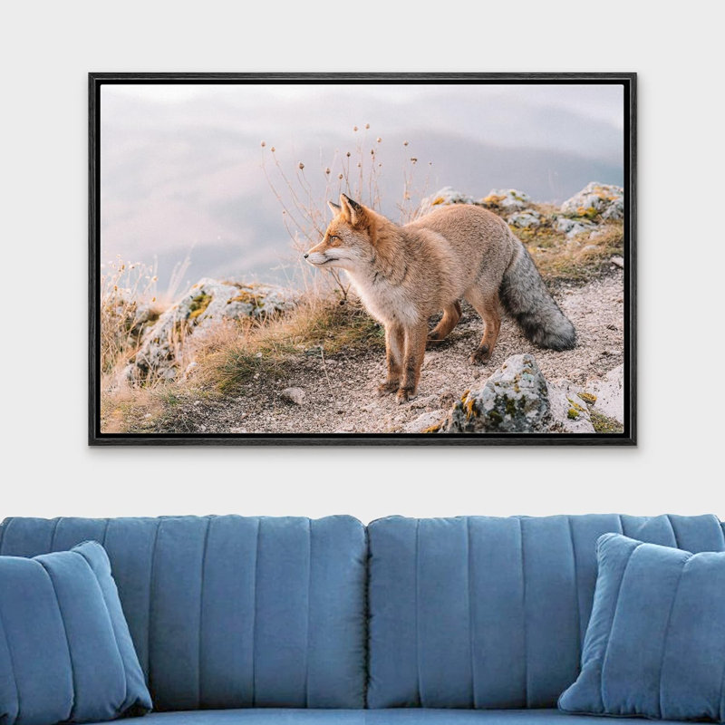 Animaux, montagne, vallée, campagne, renard roux sur toile, Cadre noir, H 24 po x l 36 po x P 1,5 po