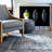 Oriental Indoor Rug-1612324705