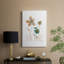 Maison simple - Cavas enveloppés de galerie-1270301478