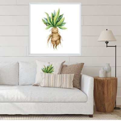 Mandragora plante - reproduction d'art sur toile traditionnelle