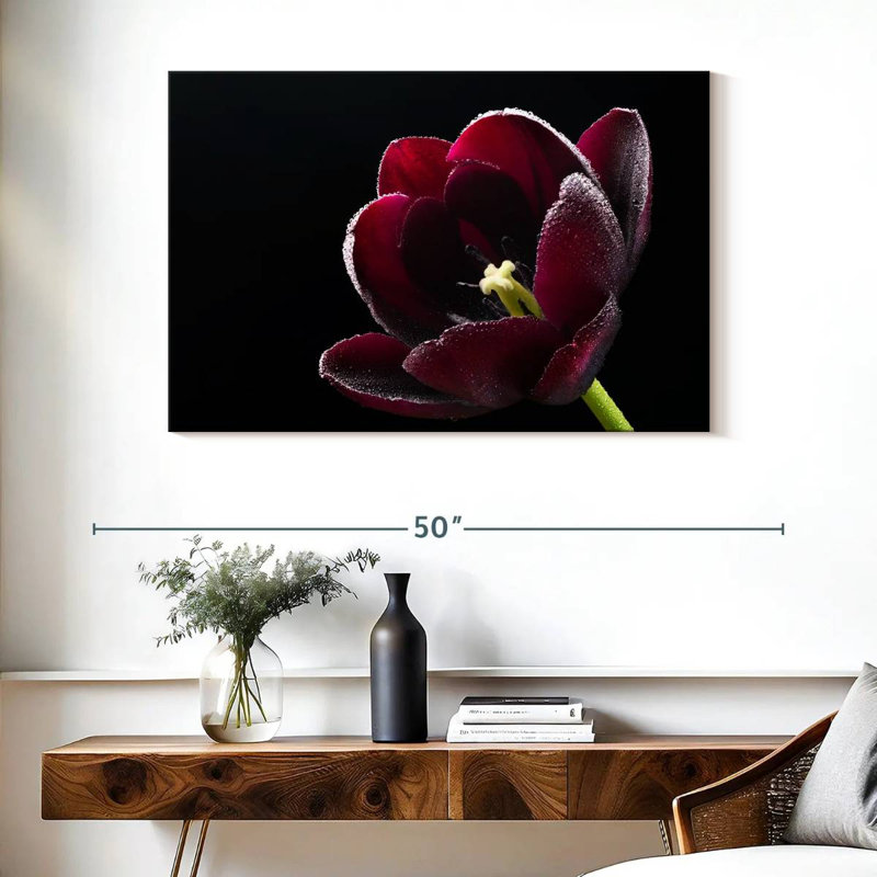 Harnek tulipe mauve noir Triumph, H 26 po x l 39 po