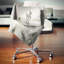 Magnifique cheval blanc qui court - coussin imprimé animal-29516520-29516524